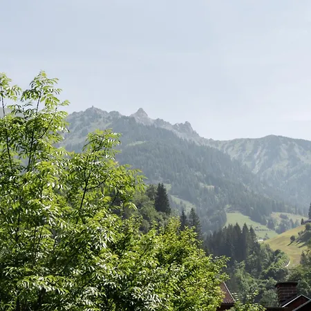 Pensjonat Am Muehlbach - Einfach Sein, Mit Gemeinschaftskueche Dorfgastein